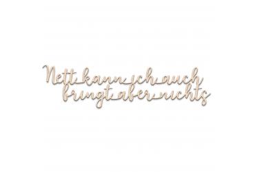 Darstellung des Produktes <span>Nett kann ich auch...</span>